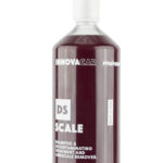 INNOVACAR DS SCALE 1 litro